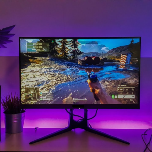 Gaming Monitor