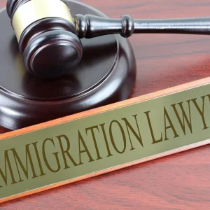 Immigration Lawyers