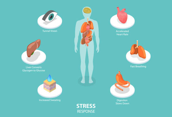 Stress, Diet, and Heart Function