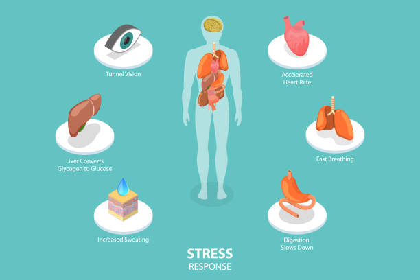 Stress, Diet, and Heart Function