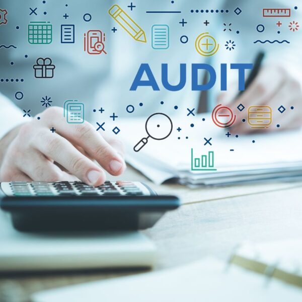 Audit Firms