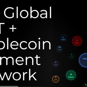 cross-border payment networks