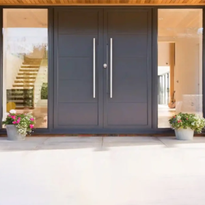 Entrance Door Designs