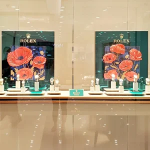 Retail Watch Display