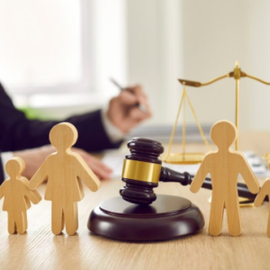 custody legal advice