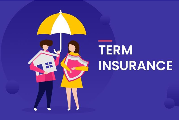 term insurance plan